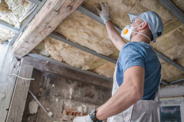 Best Insulation Repair Services  in Freeport, FL