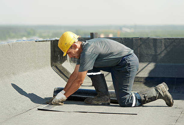 Best Spray Foam Insulation  in Freeport, FL